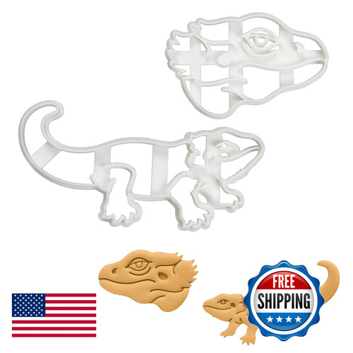 Set pogona bearded dragon - of,