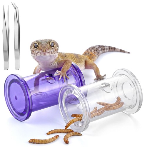 Pack bearded dragon toys - bearded,